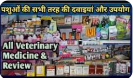 पशु दवा 1 Kit